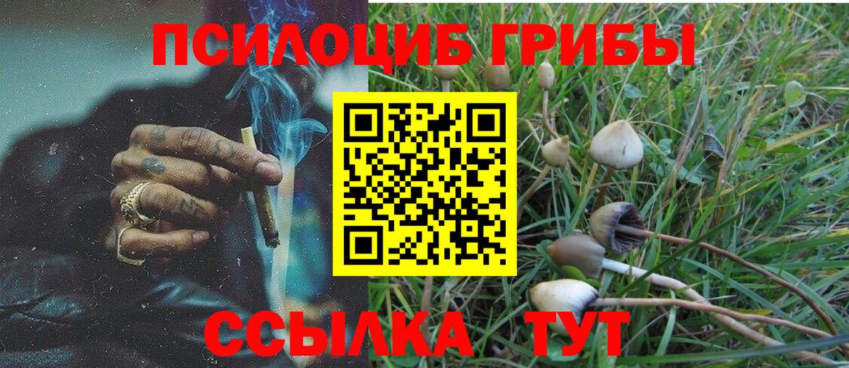 Псилоцибиновые грибы GOLDEN TEACHER Аргун